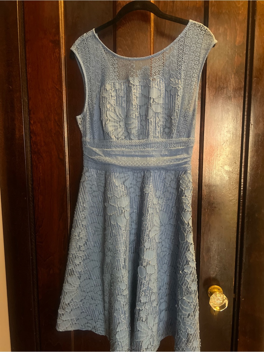 Anthropologie Light Blue Lace Fit-and-Flare Dress
